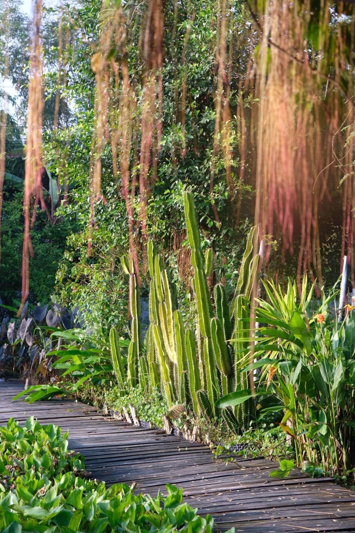 Bungalow - Farmstay Hoa Rung U Minh Ca Mau Bagian luar foto