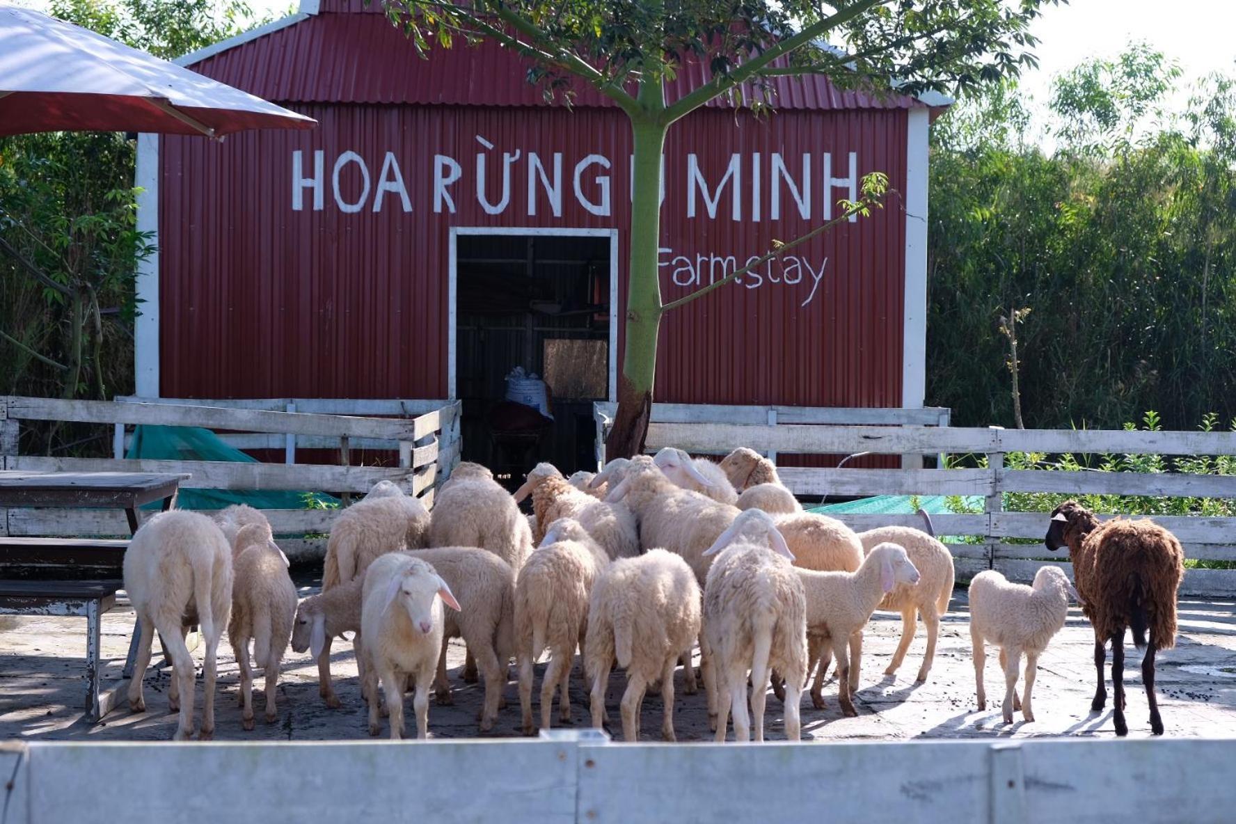 Bungalow - Farmstay Hoa Rung U Minh Ca Mau Bagian luar foto