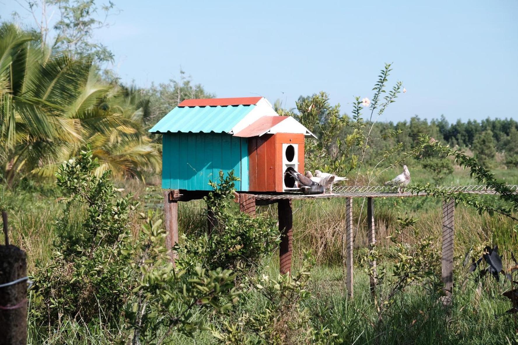 Bungalow - Farmstay Hoa Rung U Minh Ca Mau Bagian luar foto